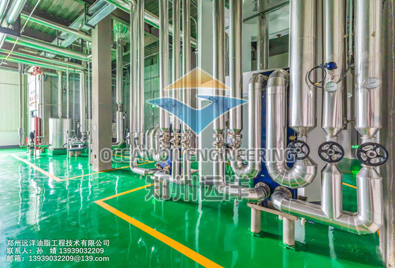 Peralatan Ekstraksi Minyak Kelapa Sawit Turnkey 500 - 1000TPD Stainless Steel