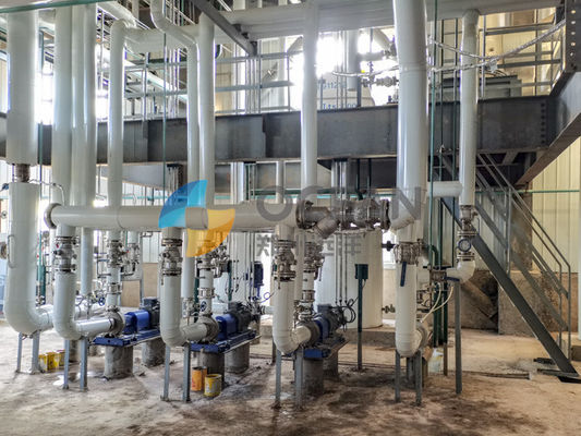 Minyak Rapeseed Pretreatment Pemrosesan benih minyak tanaman 30-1500TPD