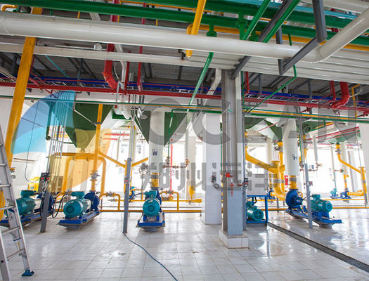 10-1000TPD Oilseed Press Plant ISO9001 Rapeseed Oil Press Hemat Energi