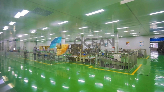 Skala Kecil ZX130 Minyak Goreng Membuat Ekstraksi Lini Produksi Penggunaan Pabrik
